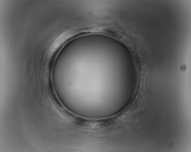 X0000113210295200909241431