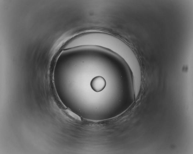 X0000113210296200909241431