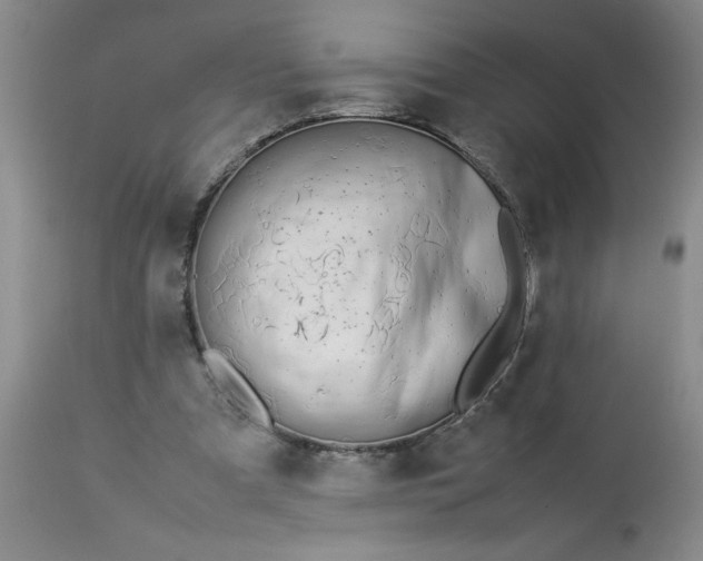 X0000113210297200909241431