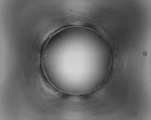 X0000113210299200909241431