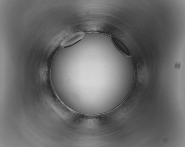 X0000113210304200909241430