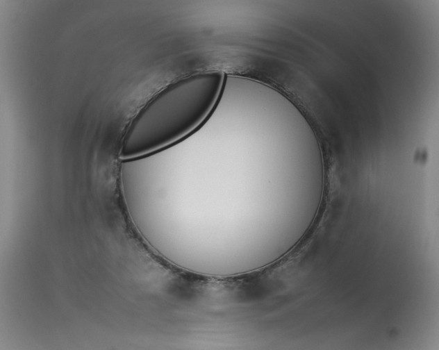 X0000113210305200909241430