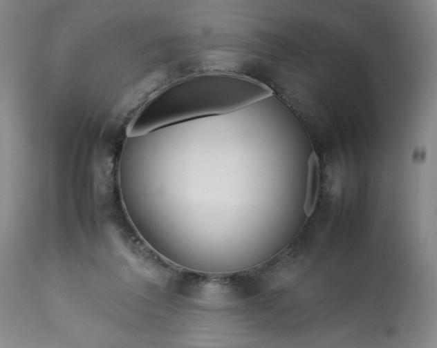 X0000113210308200909241430