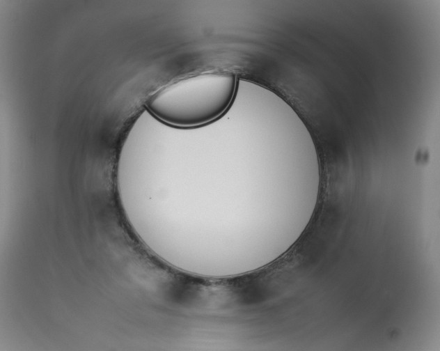 X0000113210309200909241430