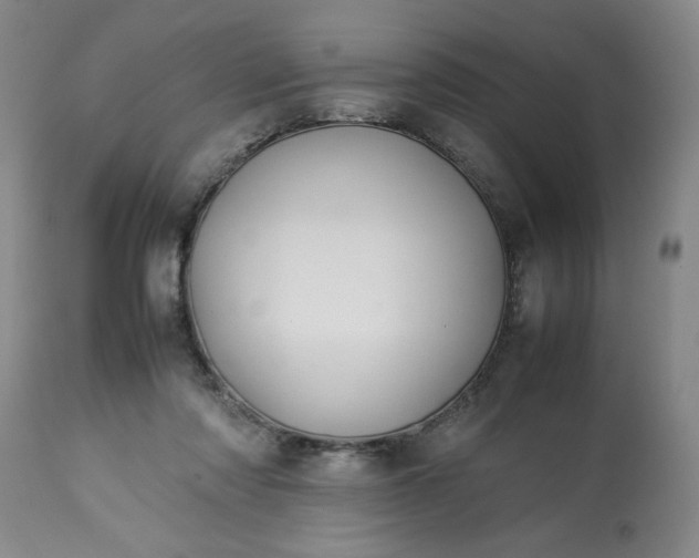 X0000113210310200909241430