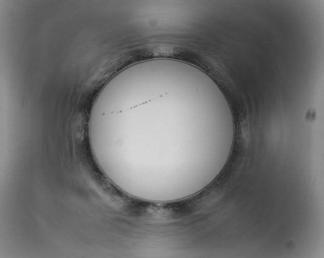 X0000113210311200909241430