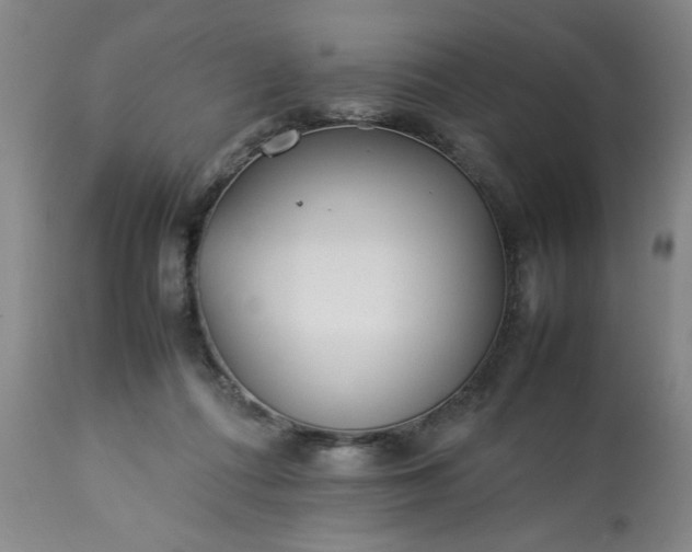 X0000113210312200909241430