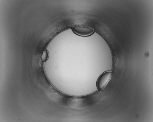 X0000113210313200909241430