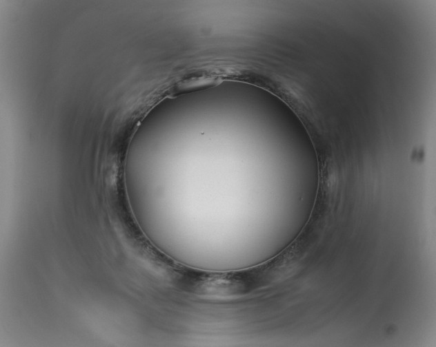 X0000113210315200909241430