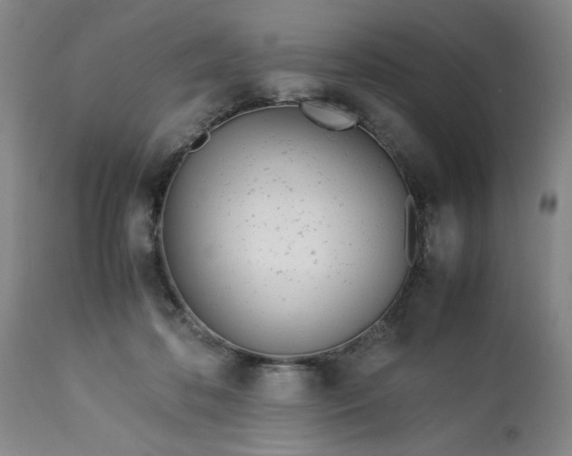 X0000113210316200909241430