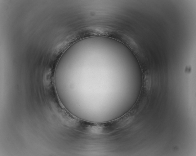 X0000113210318200909241430