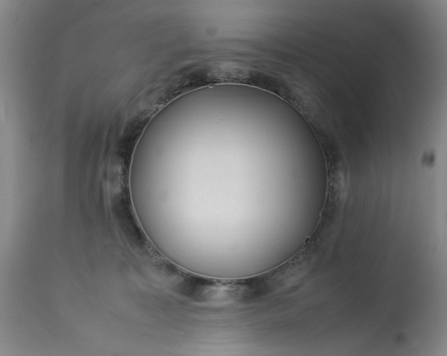 X0000113210323200909241430