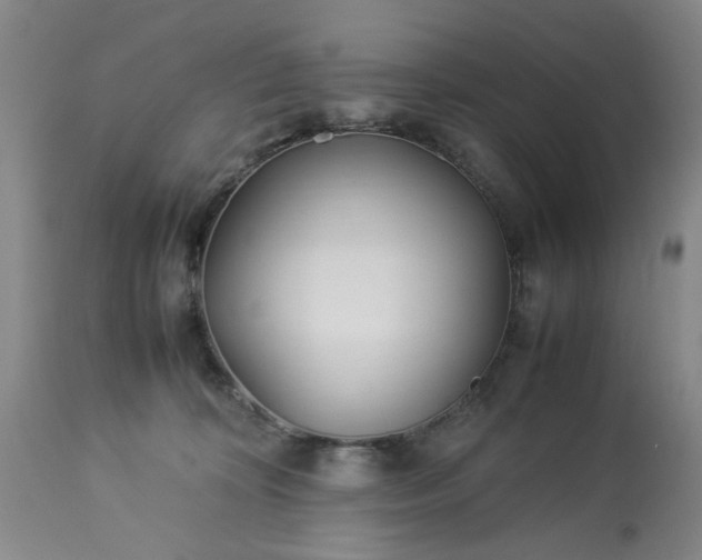 X0000113210324200909241430