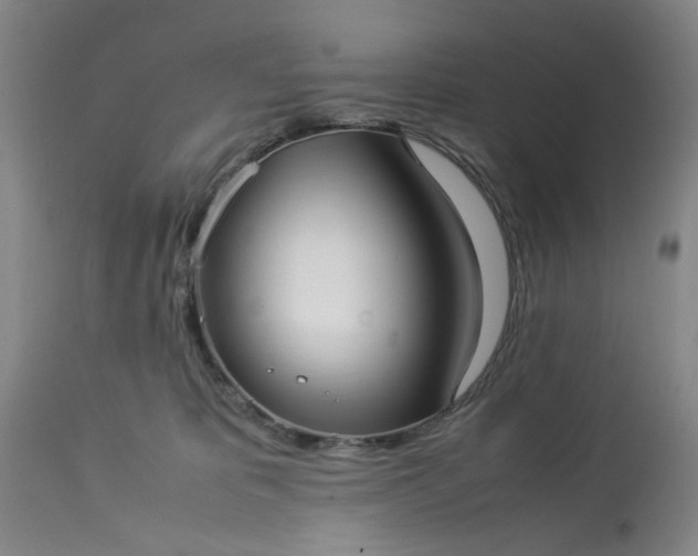 X0000113210325200909241430