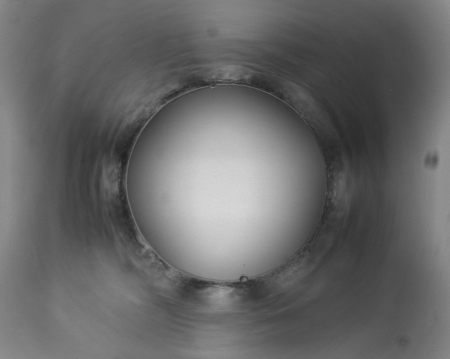 X0000113210326200909241430