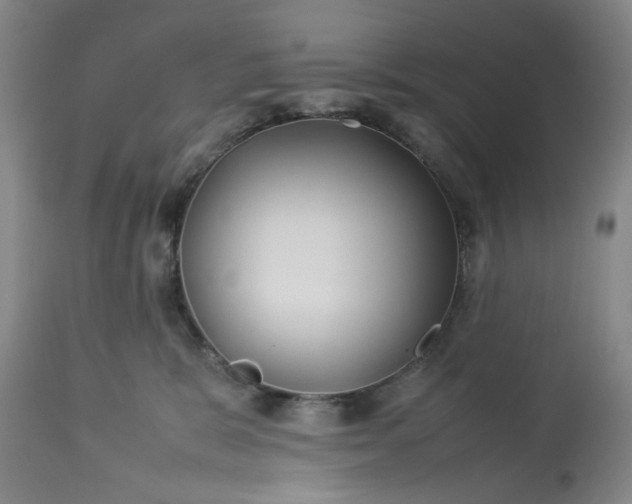 X0000113210327200909241430