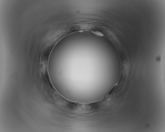 X0000113210329200909241430