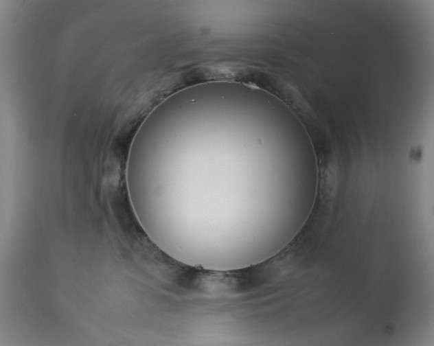 X0000113210331200909241430