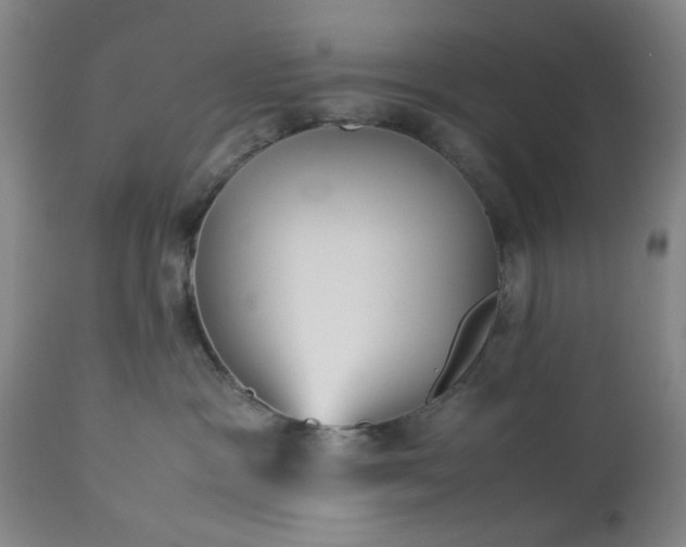 X0000113210333200909241430