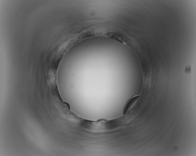 X0000113210335200909241430