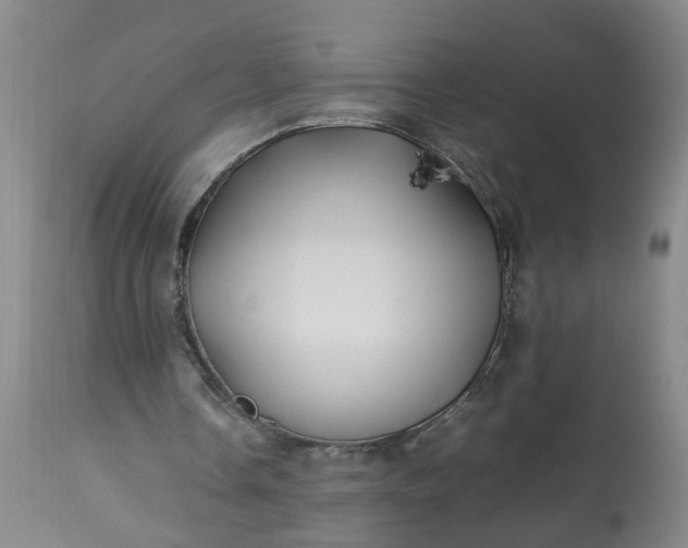 X0000113210338200909241429