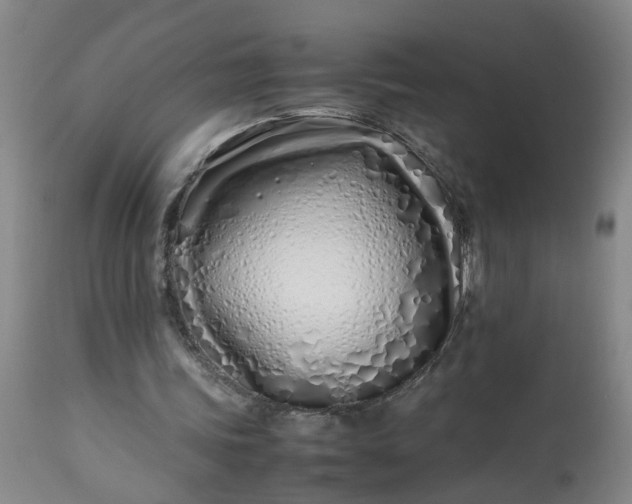 X0000113210339200909241429