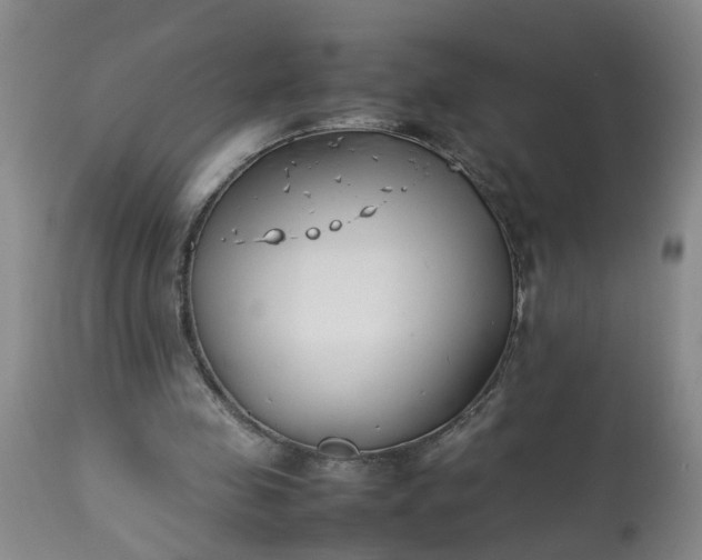 X0000113210341200909241429