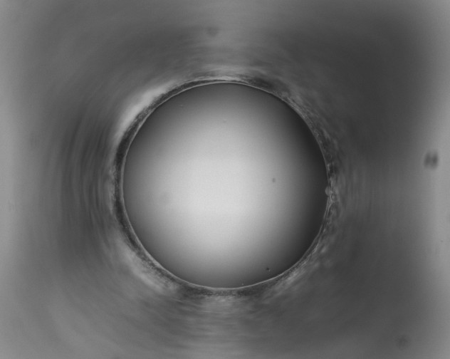 X0000113210342200909241429