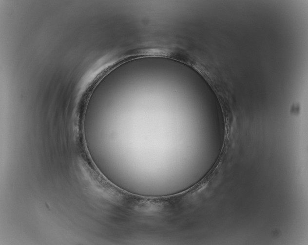 X0000113210343200909241429