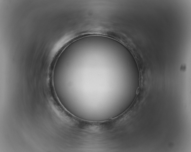 X0000113210344200909241429