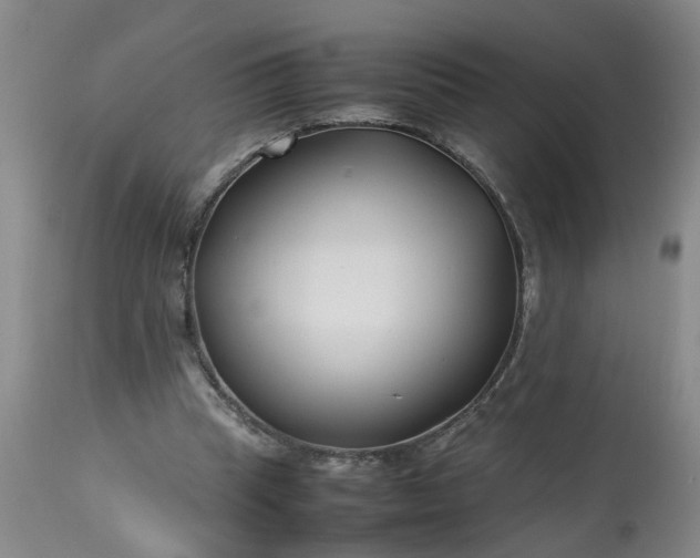 X0000113210345200909241429