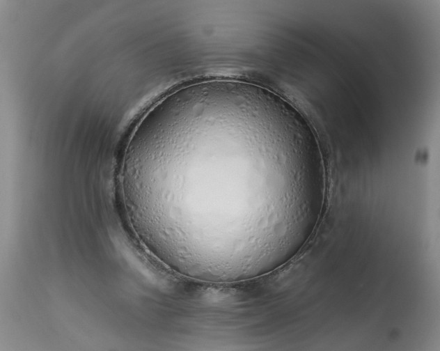 X0000113210346200909241429