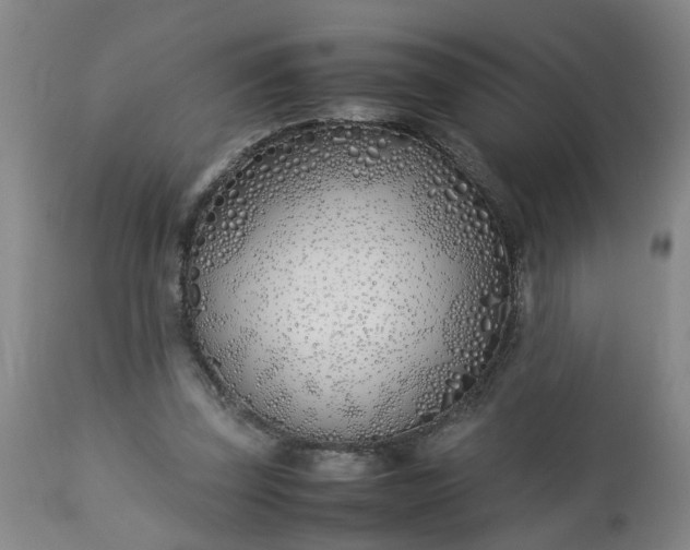 X0000113210347200909241429