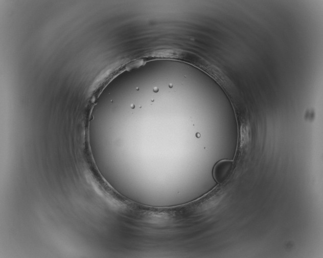 X0000113210349200909241429