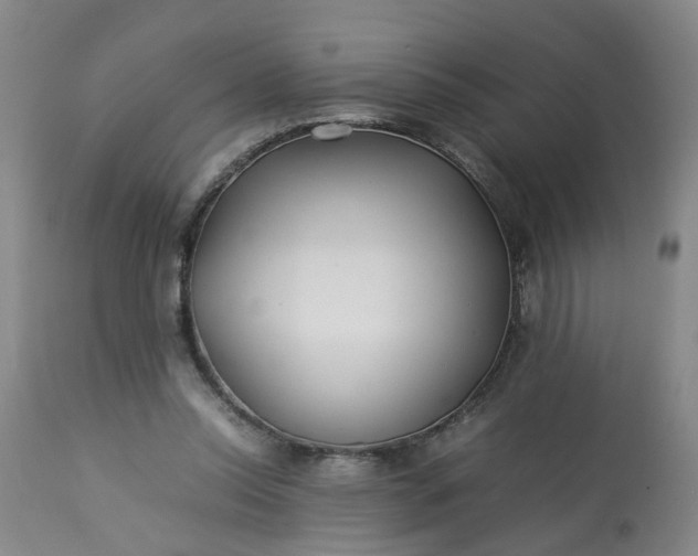 X0000113210350200909241429