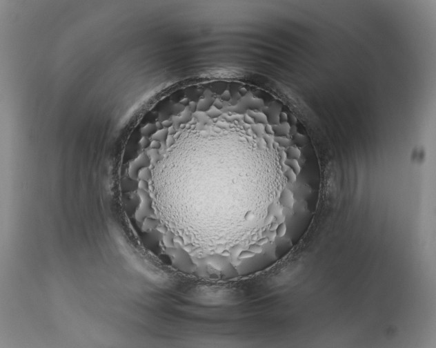 X0000113210351200909241429