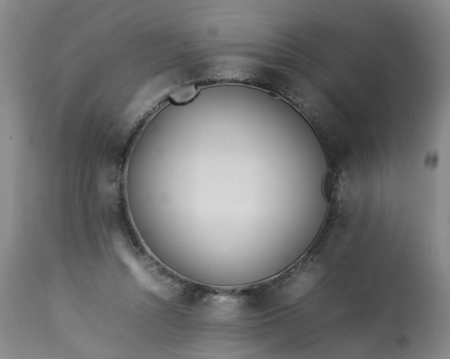 X0000113210352200909241429