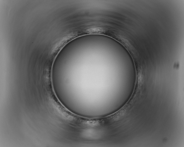 X0000113210353200909241429