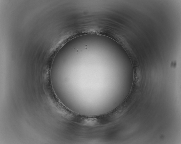 X0000113210355200909241429