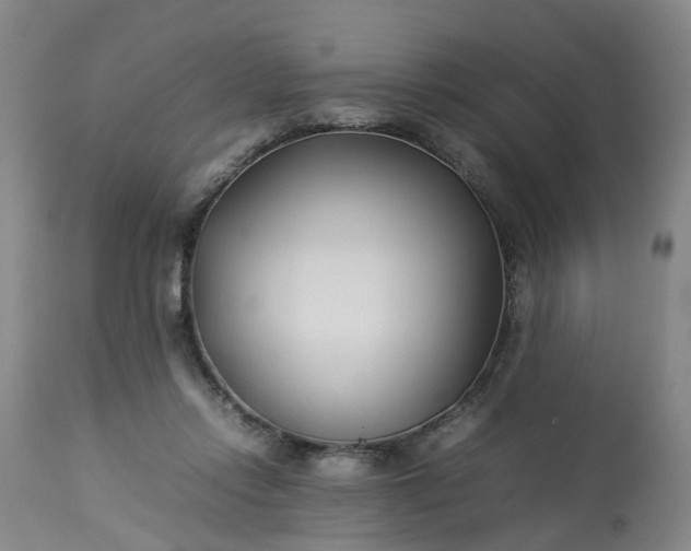 X0000113210358200909241429