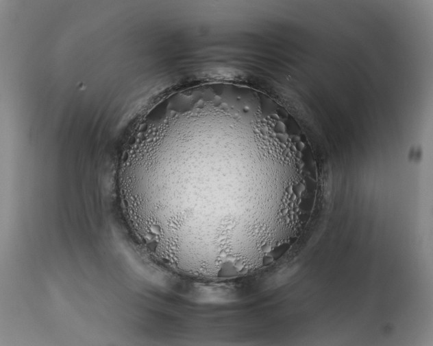 X0000113210359200909241429