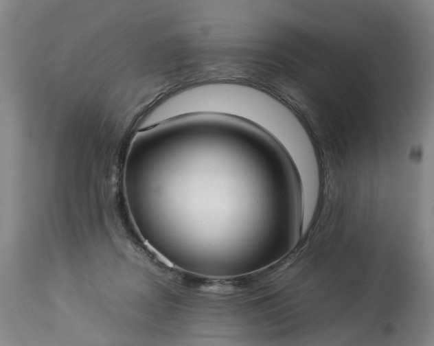 X0000113210362200909241429