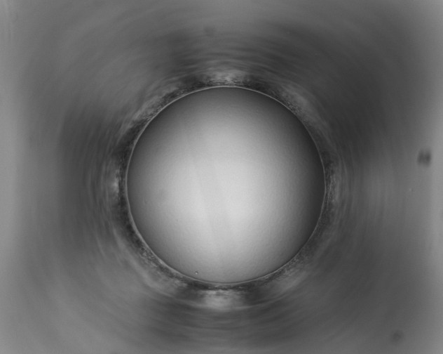 X0000113210363200909241429