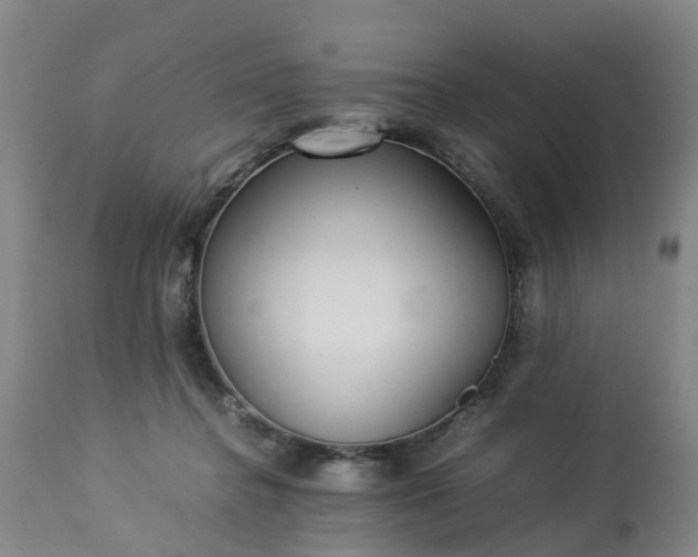 X0000113210364200909241429