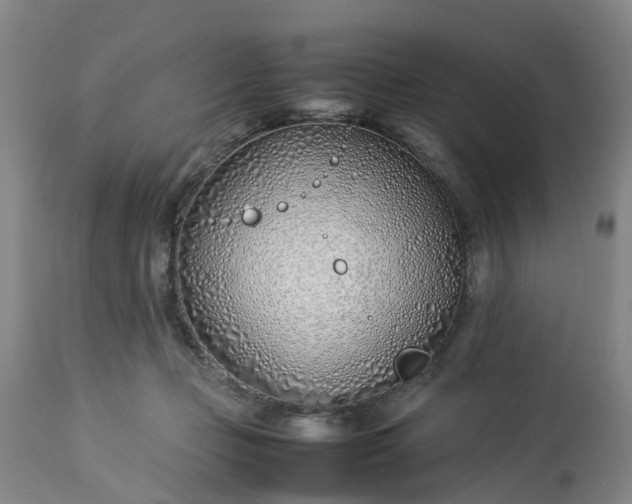 X0000113210365200909241430