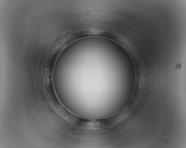 X0000113210366200909241430