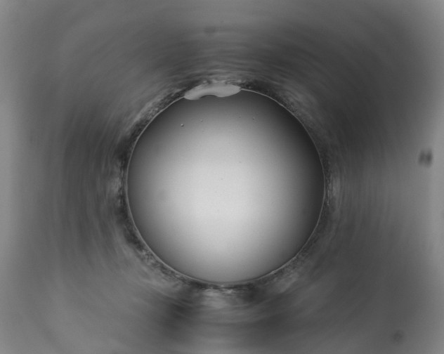 X0000113210367200909241430