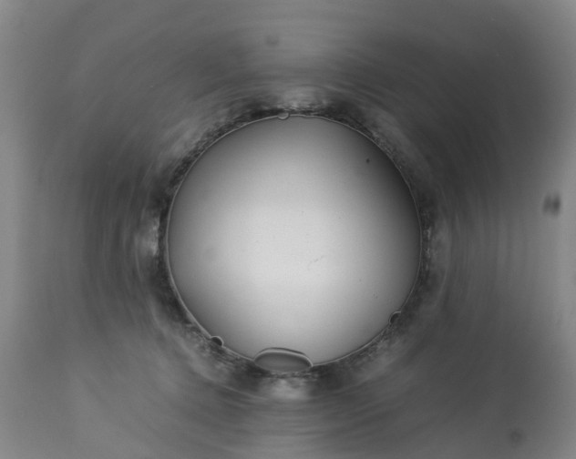 X0000113210368200909241430