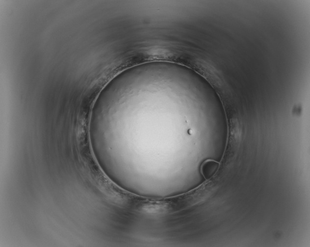 X0000113210369200909241430