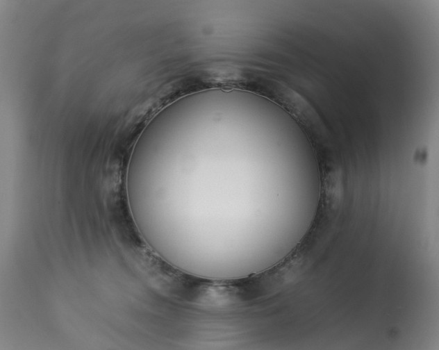 X0000113210372200909241430